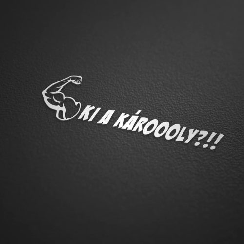 KI A KÁROOOLY?!! matrica